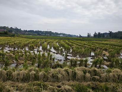 eae8ba4ba44adaad6df73066837dbd0e